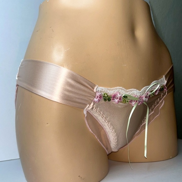 IZA Liquid Satin Pink Embroidered Floral Smooth Silky Stretch Feminine Panty NEW - Picture 4 of 15